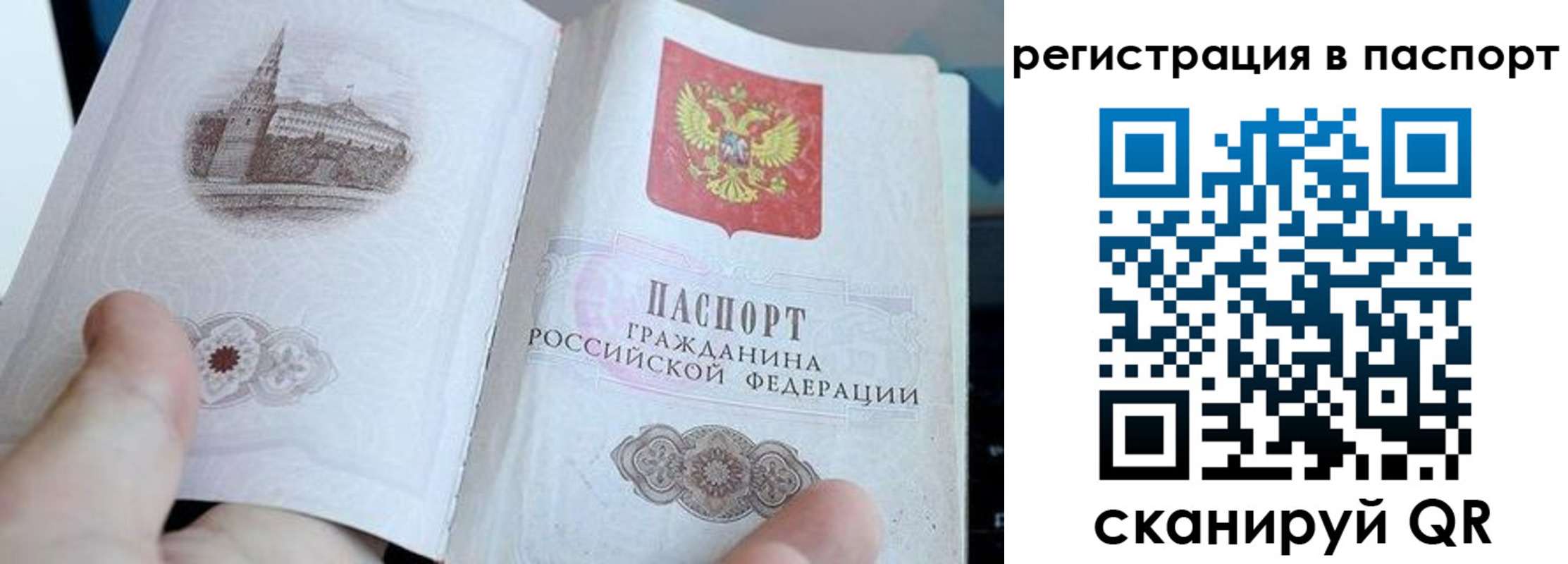 пропишу в квартире в Волгодонске